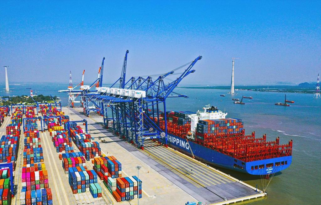 Doanh nghiệp xuất nhập khẩu gặp khó khăn trong chuỗi logistics