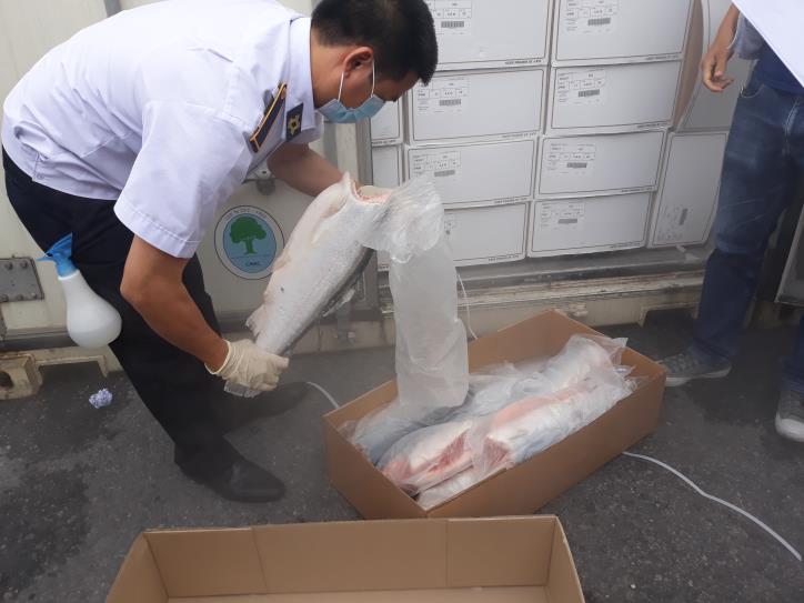 Infographic 7 lý do cần sửa đổi danh mục kiểm dịch nhập khẩu