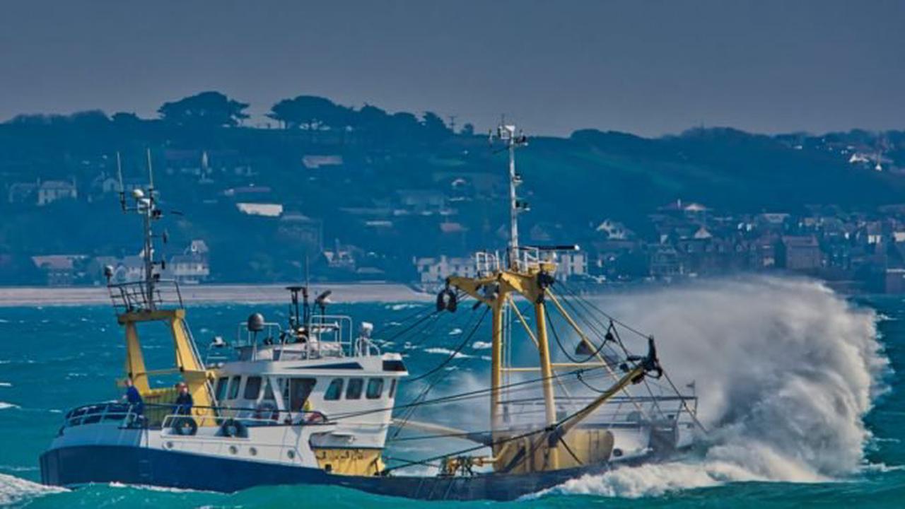 Một số “tên tuổi lớn” ngành mực ống lập nhóm chống đánh bắt IUU 