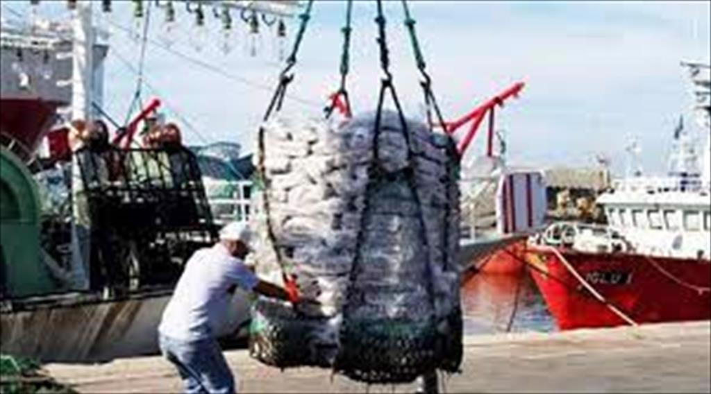 Argentina Khối lượng xuất khẩu mực ống tăng trong tháng 42021