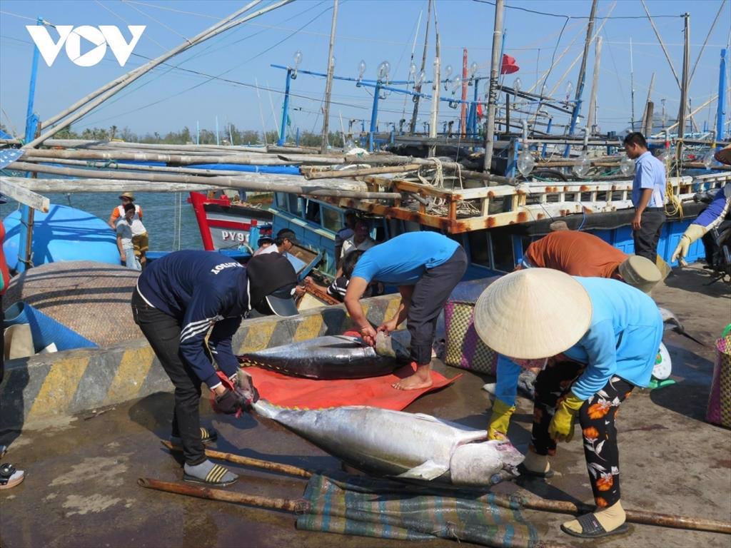 Thủy sản Việt Nam sẽ tổn thất khoảng 480 triệu USDnăm nếu mất thị trường EU