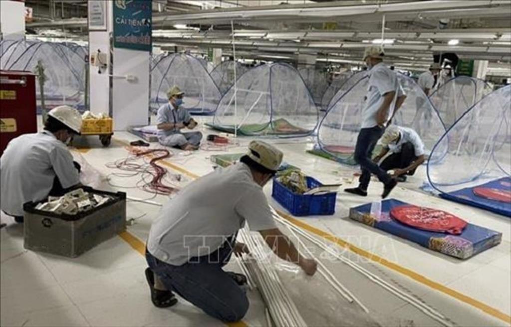 TPHCM đưa ra 4 phương án sản xuất cho doanh nghiệp