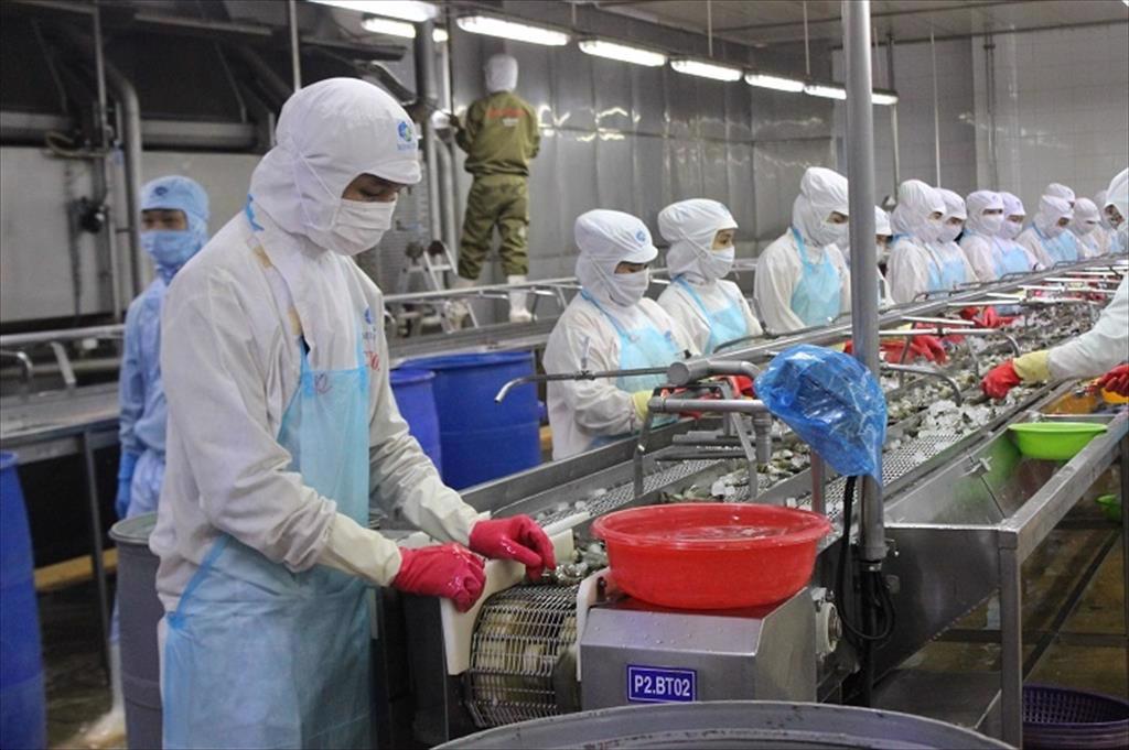 VASEP đề nghị lùi thời gian thi hành nghị định quy định chi tiết Luật Bảo vệ Môi trường tới năm 2024