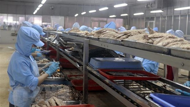 Việt Nam trở thành nguồn cung cá ngừ lớn nhất cho Israel
