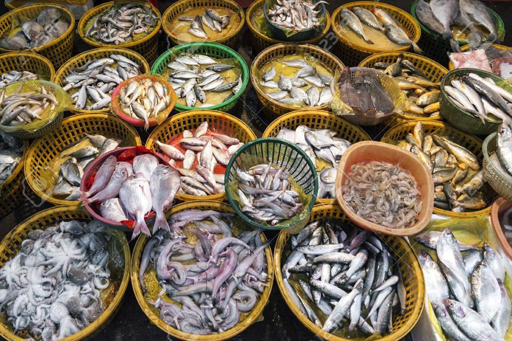 Năm 2021, nhập khẩu thủy sản của Trung Quốc tiếp tục giảm 15% - 17%