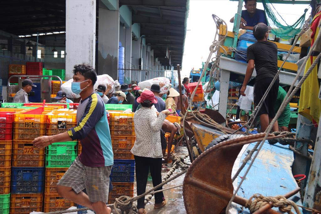 Gỡ vướng để tàu cá ở Phan Thiết tăng tốc ra khơi đánh bắt mùa cá nam