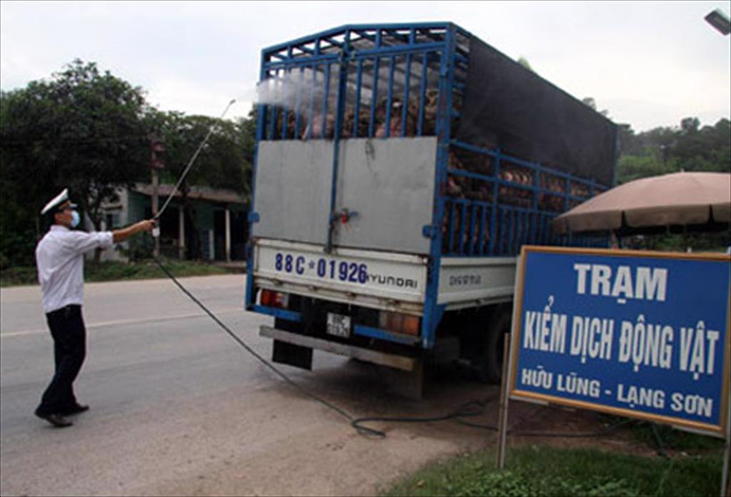 Thông tư 682021TT-BTC quy định mức thu phí, lệ phí thú y nhằm hỗ trợ khó khăn cho đối tượng chịu ảnh hưởng bởi dịch Covid-19