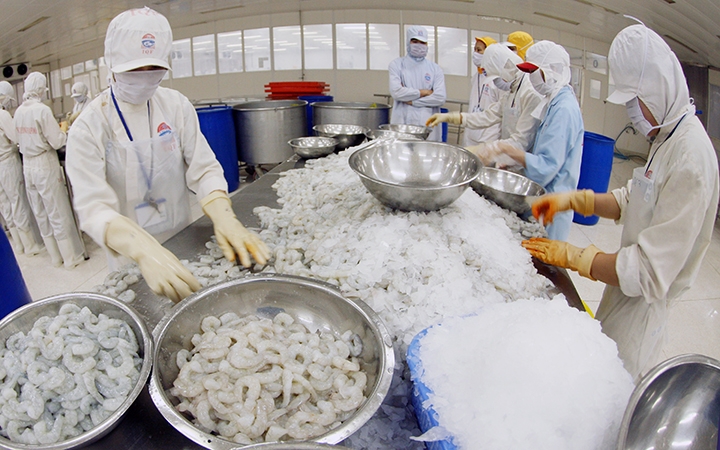 Đồng bộ giải pháp cho chuỗi thủy sản