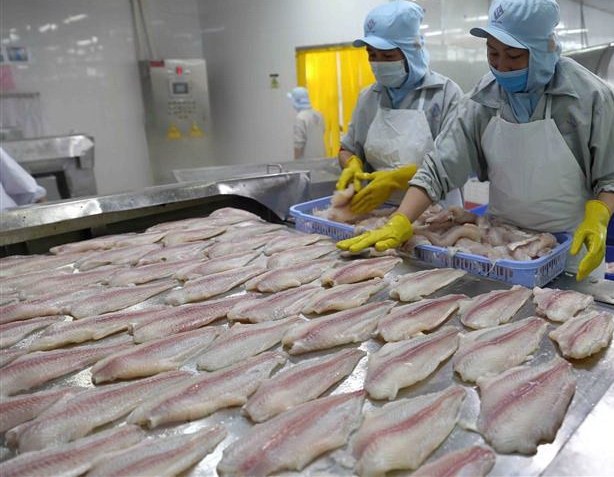 Infographic Xuất khẩu cá tra Việt Nam 8 tháng đầu năm 2021