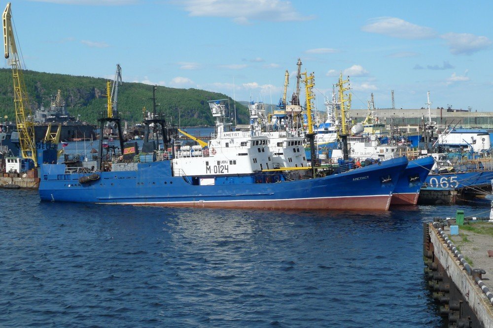 Nga Trữ lượng cá halibut giảm 