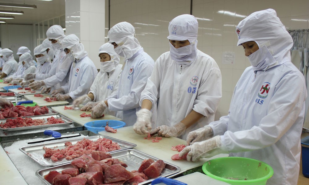 Tháng 82021, xuất khẩu cá ngừ giảm 19%