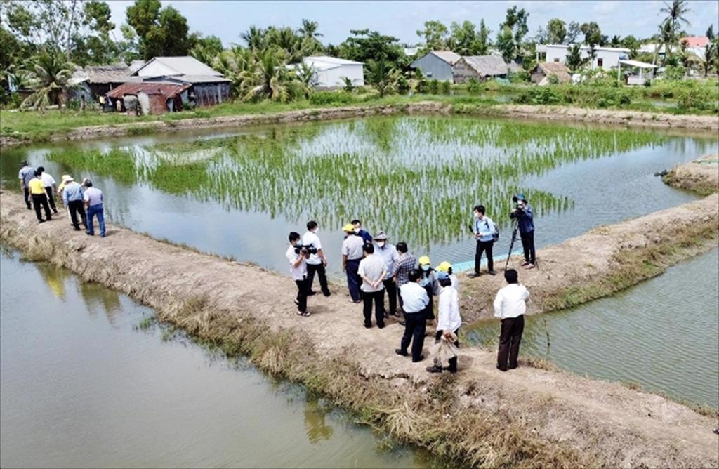 Cà Mau Mở rộng thị trường nội địa - Bước đi mới để phục hồi kinh tế 