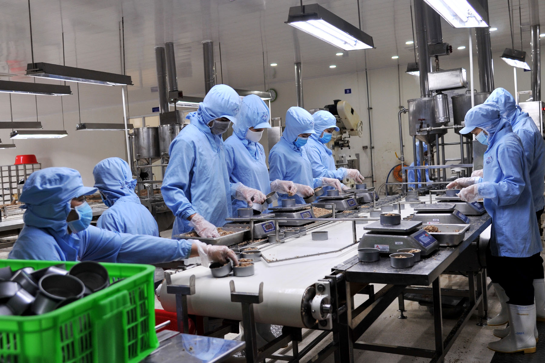 Trung Quốc tăng nhập khẩu cá ngừ từ Việt Nam