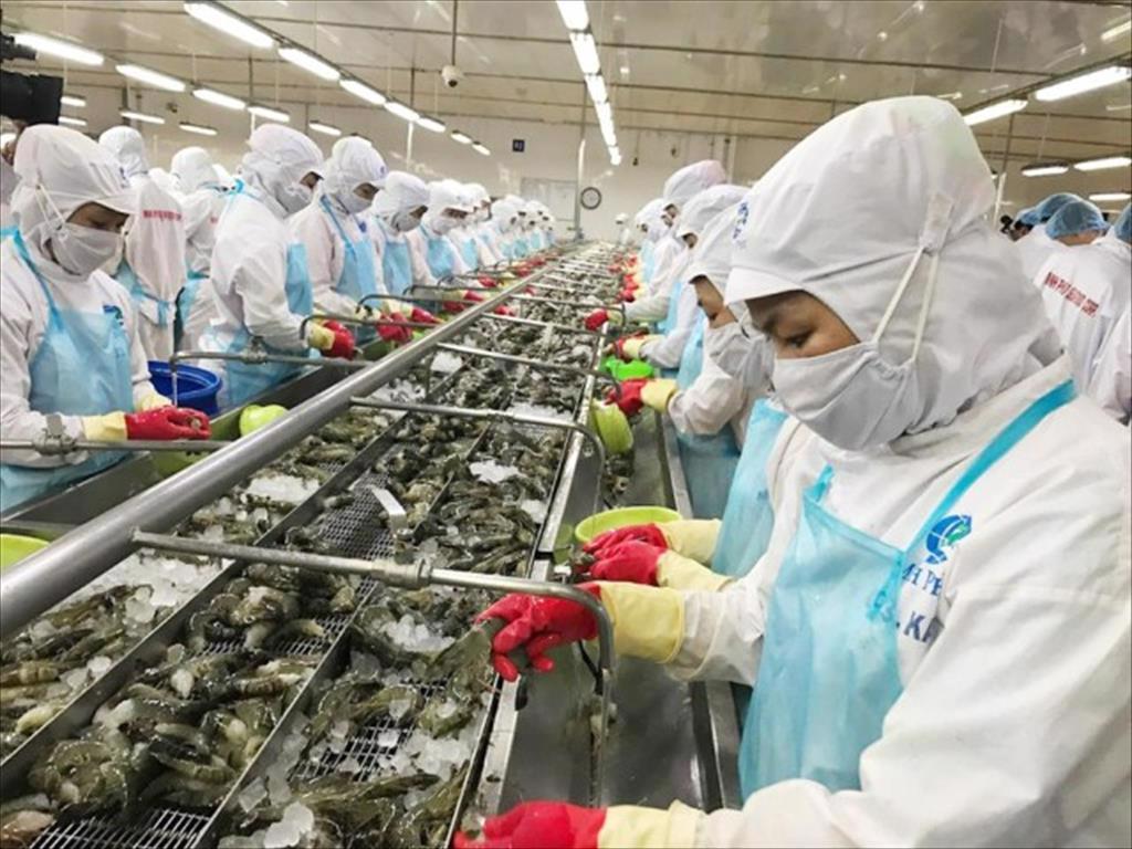 Phục hồi sản xuất kinh doanh Doanh nghiệp đói vốn