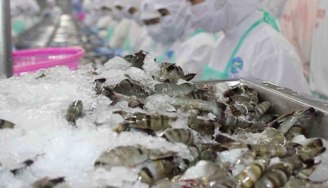 Xuất khẩu tôm tháng 92021 tiếp tục giảm, doanh nghiệp nỗ lực phục hồi sản xuất