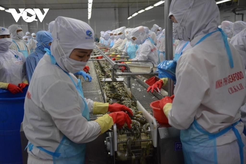 Nỗ lực phục hồi kinh tế hậu giãn cách ở ĐBSCL Doanh nghiệp miền Tây khốn đốn trong cơn bão Covid-19