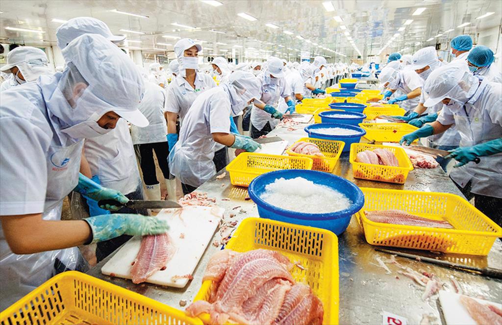 Infographic Xuất khẩu cá tra Việt Nam 9 tháng đầu năm 2021