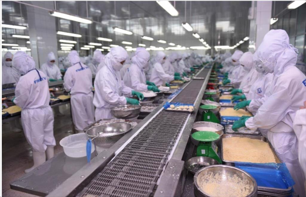 Dịch bệnh tái bùng phát doanh nghiệp tôm gắng giữ vững “thành trì”