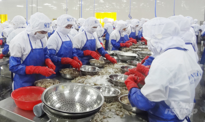 Thủy sản chớp cơ hội cuối năm [Bài 2] Xuất khẩu tôm thuận lợi