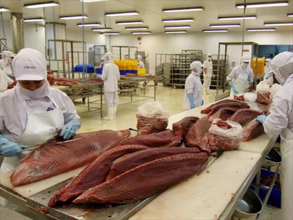 Quý 32021, xuất khẩu cá ngừ sang Canada giảm 27%