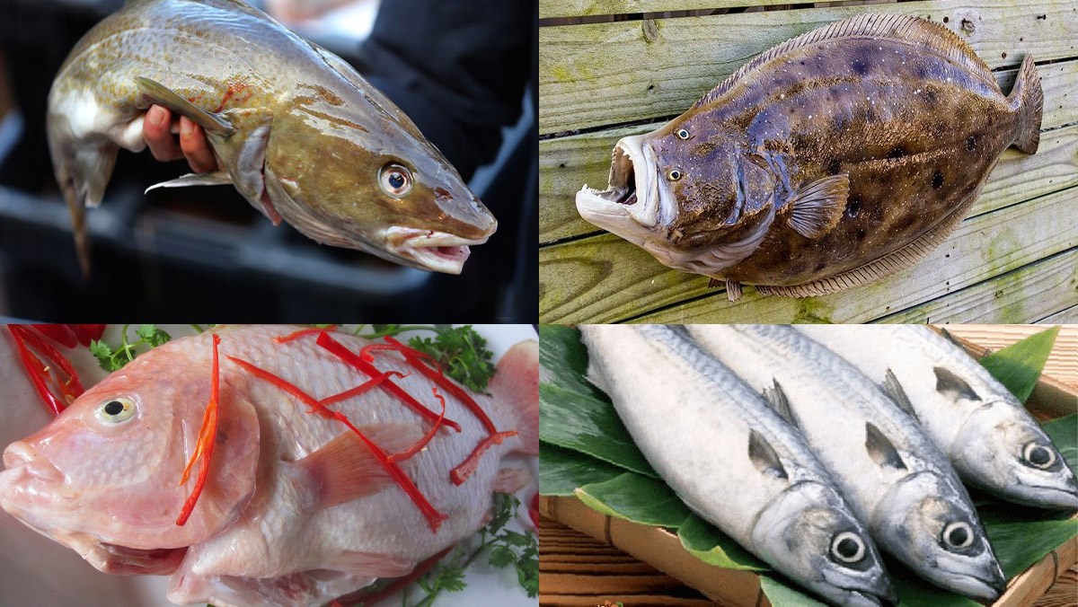 Năm 2022 Sản lượng cá thịt trắng tự nhiên, nuôi toàn cầu sẽ ít thay đổi