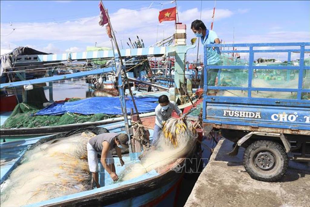Ninh Thuận Khai thác thủy sản thích ứng an toàn với dịch COVID-19