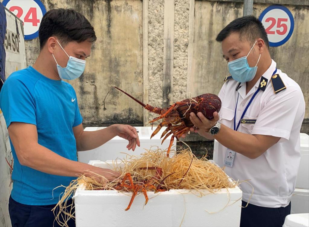 Bộ NN-PTNT ban hành bảng mã số HS mới