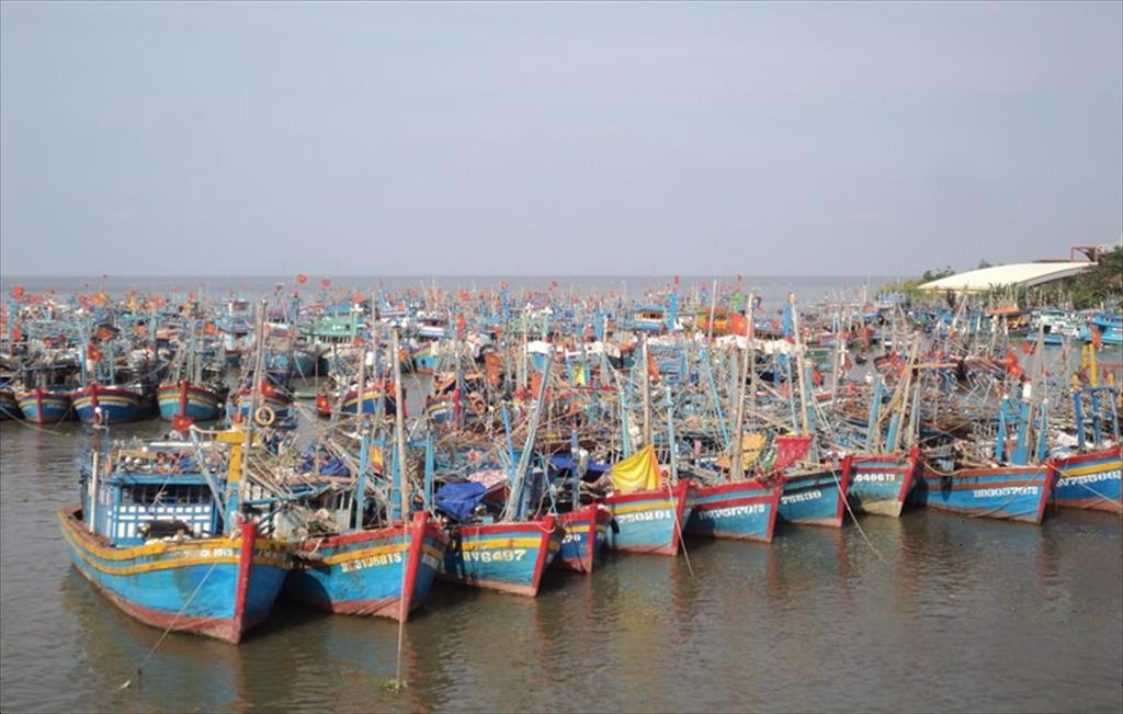 Kiên Giang Thanh tra hoạt động khai thác hải sản