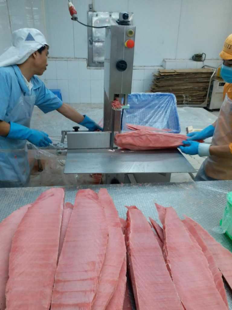 Tháng 92021, xuất khẩu cá ngừ sang Trung Quốc tăng cao trở lại