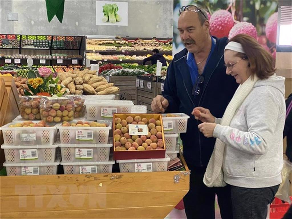 Xuất khẩu nông sản Việt Nam sang Australia ghi nhận nhiều tiến triển