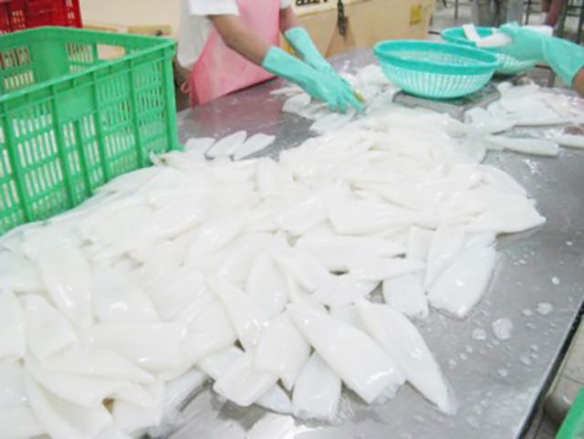 Mỹ Nhập khẩu mực, bạch tuộc quý 32021 đạt cao nhất kể từ năm 2019 