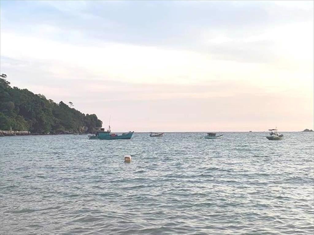 Cà Mau Nỗ lực khai thác thủy sản hiệu quả, linh hoạt phòng chống dịch COVID-19