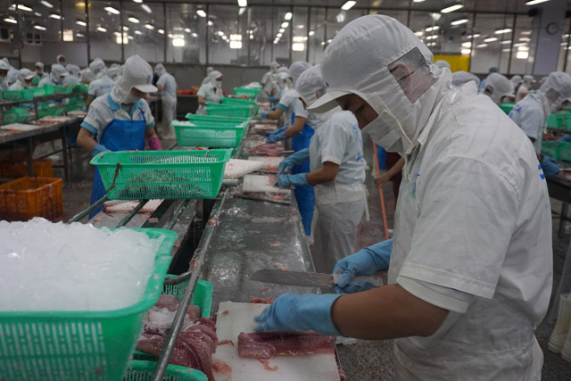 Đồng Tháp Các doanh nghiệp đang tập trung phục hồi công suất 