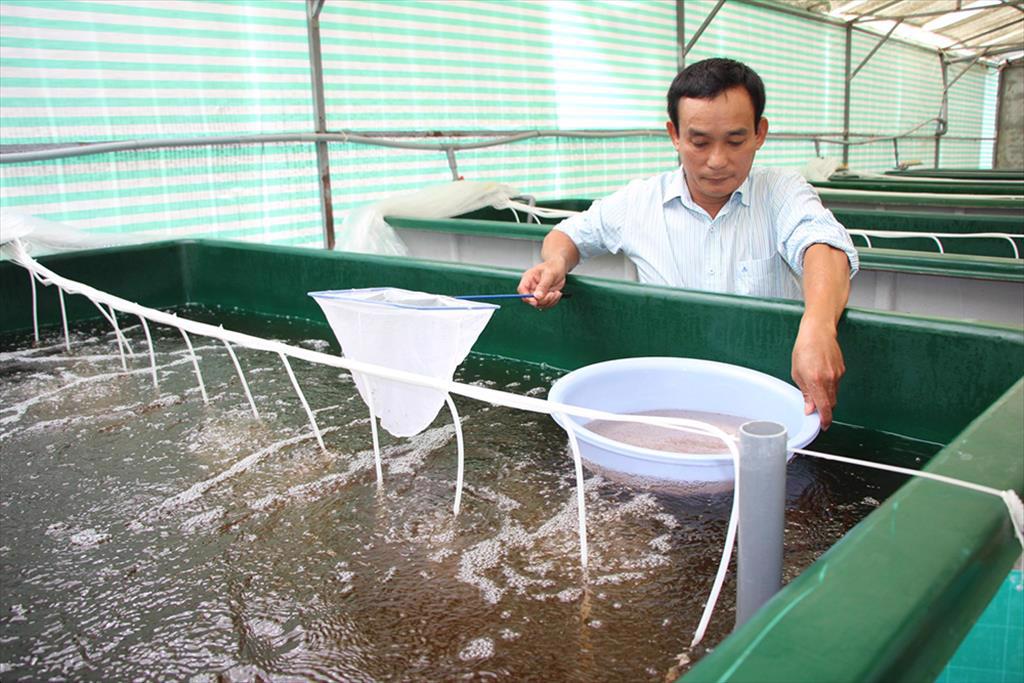 An Giang Tập trung phát triển sản phẩm thủy sản chủ lực