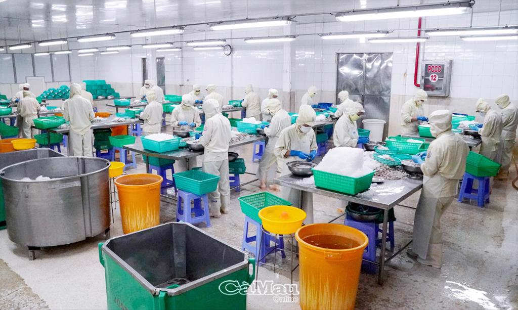 Xuất khẩu thuỷ sản Một năm vượt khó