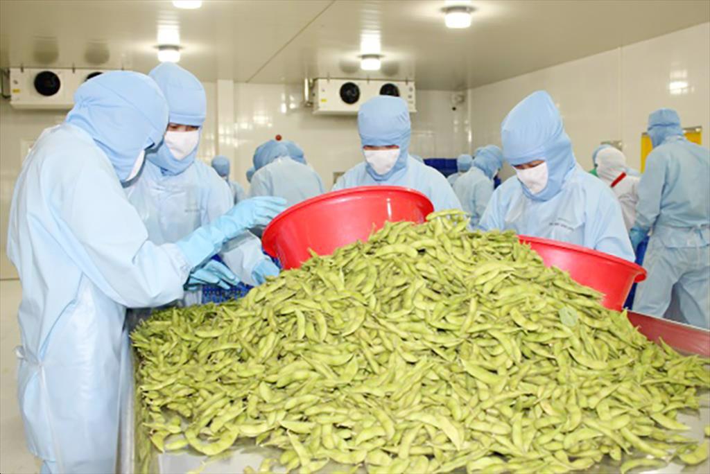 An Giang khen thưởng 9 doanh nghiệp xuất khẩu uy tín năm 2020 và giai đoạn 2015-2020