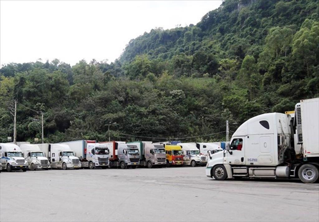 Hải quan Doanh nghiệp xuất khẩu cần kiểm soát COVID-19 ở cả bao bì