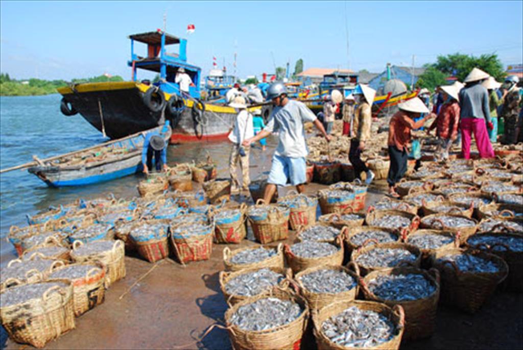 Bình Thuận Thúc đẩy xuất khẩu thủy hải sản phát triển