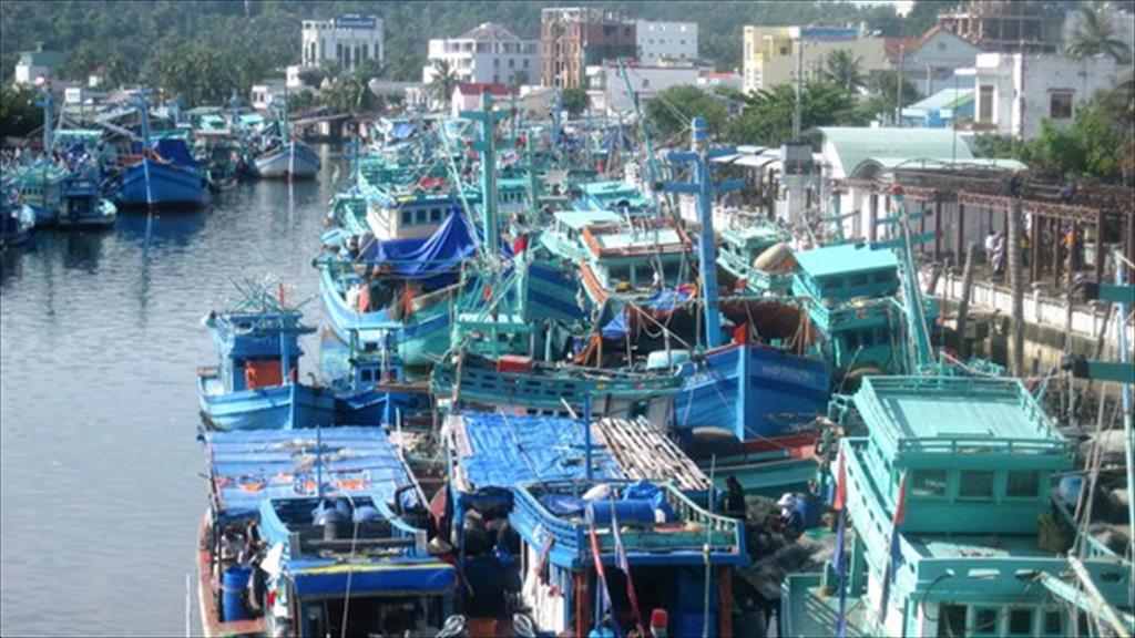 Nỗ lực chấm dứt khai thác hải sản bất hợp pháp