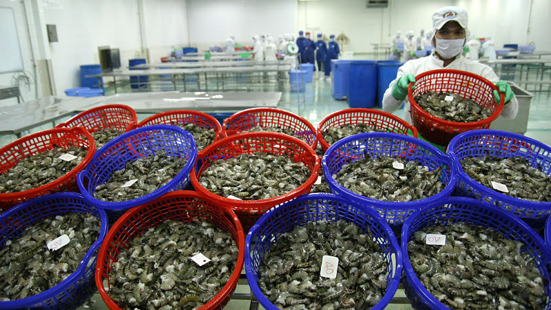 Doanh nghiệp thích ứng linh hoạt, xuất khẩu thủy sản phục hồi nhanh chóng