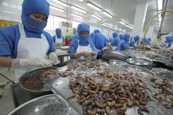 Doanh nghiệp tốn trăm tỷnăm vì quy định kiểm dịch vô lý