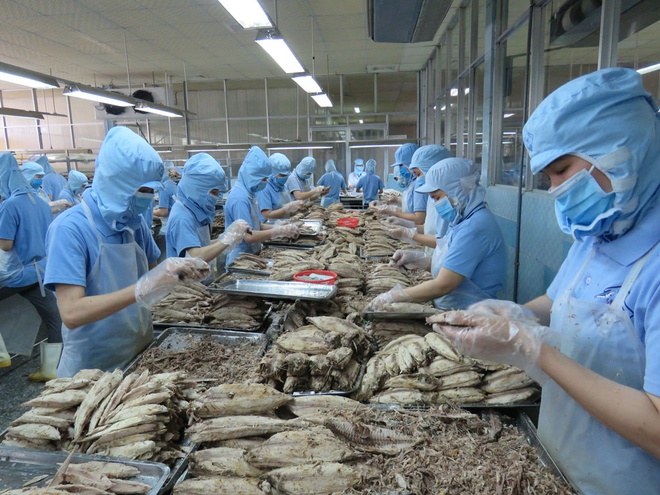 Xuất khẩu cá ngừ Việt Nam tăng tốc ngay từ đầu năm