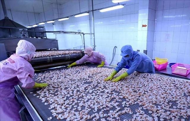 Infographic Xuất khẩu tôm Việt Nam tháng 12022