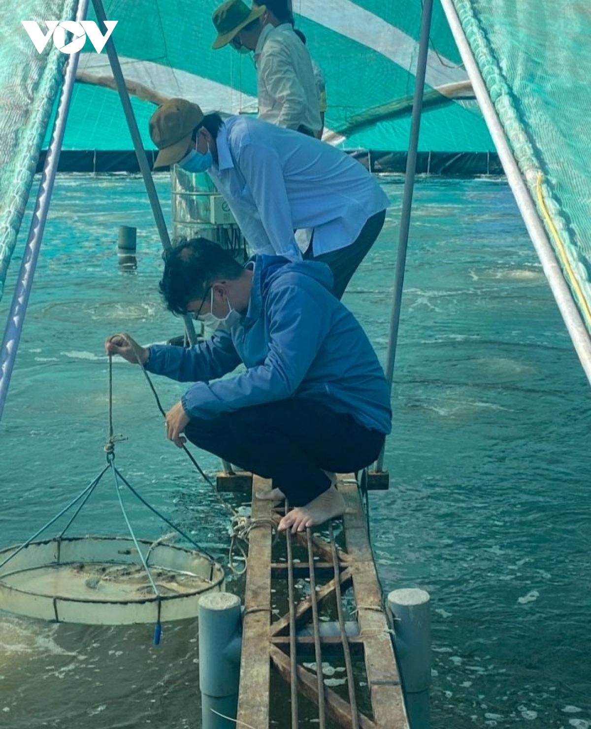 Nuôi tôm công nghệ cao, nông dân Tiền Giang trúng đậm