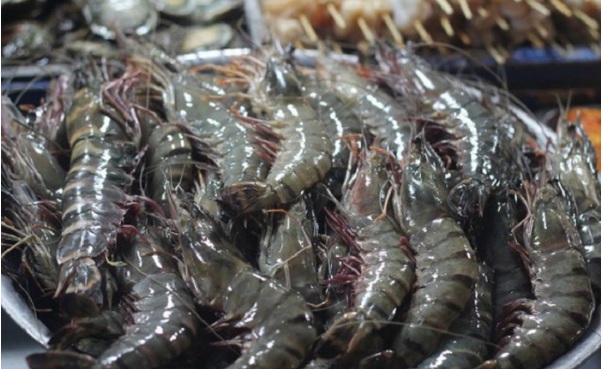 Nhu cầu nhập khẩu tôm của Trung Quốc phục hồi năm 2022 