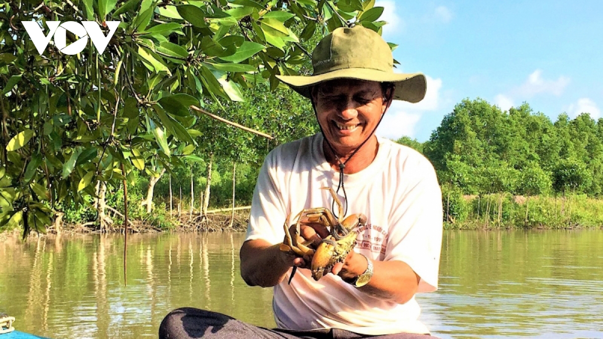 Cà Mau sẽ tổ chức Ngày hội cua độc đáo