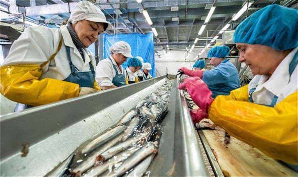 C THU ĐÃ DUYỆT Anh áp lệnh trừng phạt kinh tế tăng thuế với cá thịt trắng từ Nga