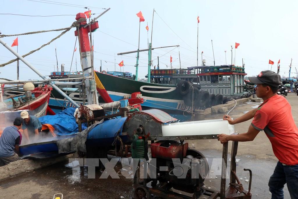 Nâng hiệu quả khai thác cho mỗi chuyến biển trước áp lực chi phí xăng dầu