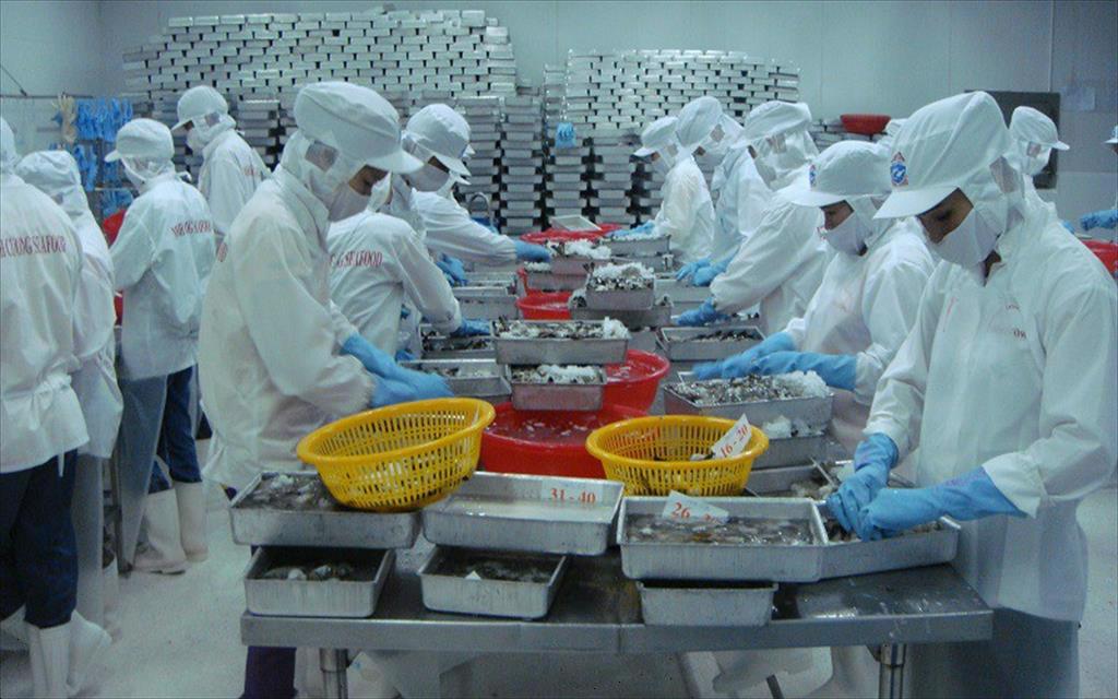 VASEP Highlight - Tôm T32022 Xuất khẩu tôm tăng tốc ngay từ đầu năm