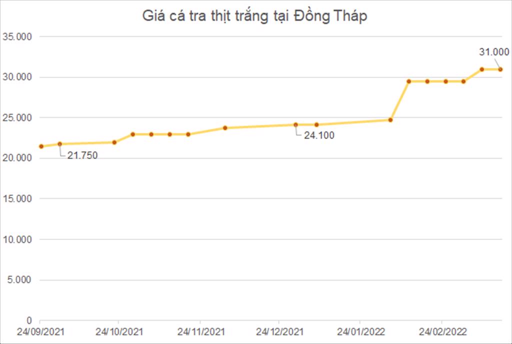Giá nguyên liệu tăng cao cùng nhu cầu phục hồi, doanh nghiệp cá tra kỳ vọng thắng lớn 2022